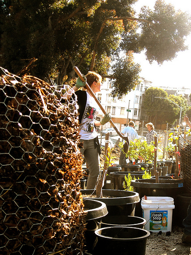 freeway food forest potato towers