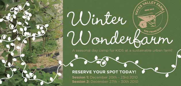 HVF_WinterWonder_banner2
